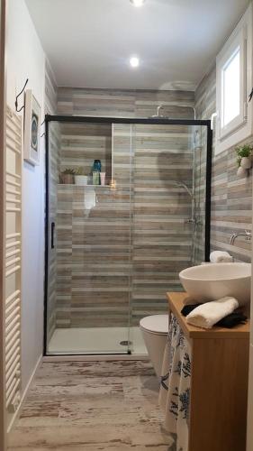 a bathroom with a shower and a toilet and a sink at EL CIPRÉS DE PRADO in Castrelo de Miño
