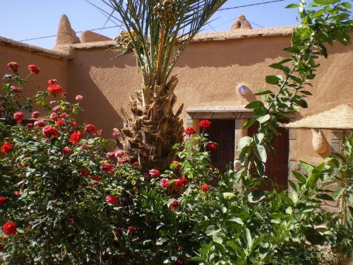 a palm tree in front of a house with flowers at Maison D' hôtes Ait Hmid in Nkob