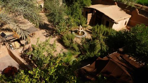 an overhead view of a garden with a fountain at Le Chant Des Palmiers in Agdz