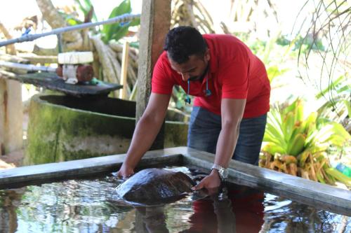 a man is looking at a turtle in the water at Bird's Nest by Natures Bliss in Ragama