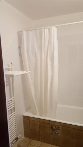 ein Badezimmer mit einer Badewanne mit Duschvorhang in der Unterkunft Eperon 1 in Les Deux Alpes