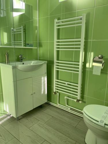 a green bathroom with a sink and a toilet at Casa B&D Residence in Deva