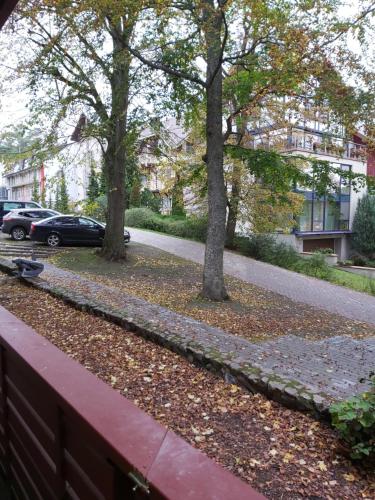 Okolí apartmánu