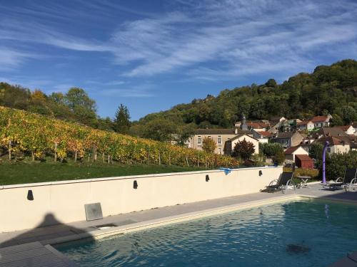 a swimming pool in front of a bunch of vines at Clos de belle roche in Saint-Romain