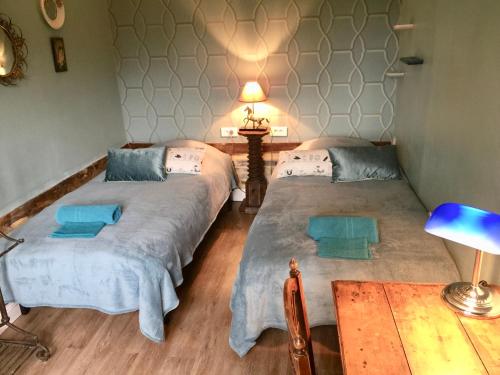 1 dormitorio con 2 camas, mesa y lámpara en Charmante Petite Maison dans le Jardin, en Letteguives