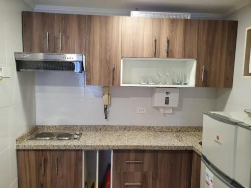 Η κουζίνα ή μικρή κουζίνα στο Isabel Suites Vitacura