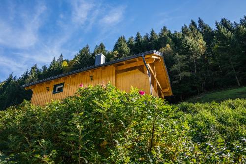 a wooden house on a hill with trees in the background at Almhuette MeineZeit in Donnersbachwald