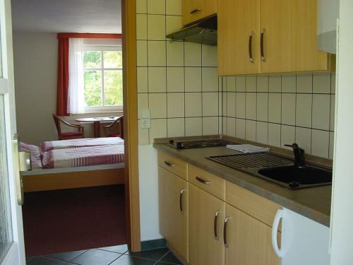 eine Küche mit einer Spüle und einer Arbeitsplatte in der Unterkunft Spreewald Pension Spreeaue in Burg