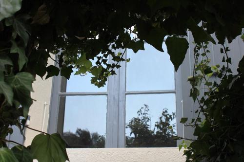 a window in a white room with green leaves at Home Cassis - Maison Les Calanques - Piscine chauffée à 30c in Cassis