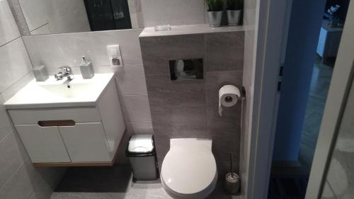 a small bathroom with a toilet and a sink at GreyT in Toruń