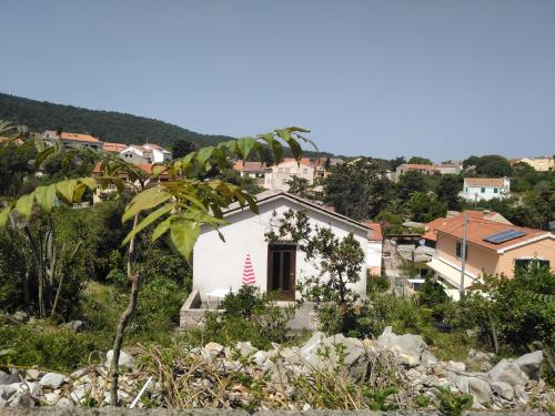 Fotografia z galérie ubytovania Apartman Rovenska Seaview vo Veli Lošinj