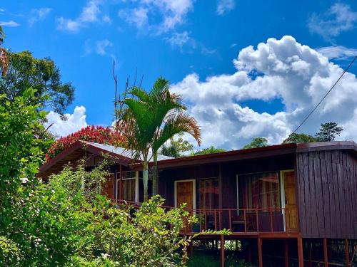 a house with a palm tree in front of it at Hotel Palenque Tarrazu in San Marcos