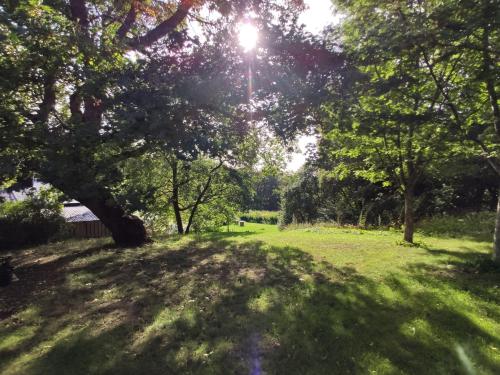 a field of grass with trees and the sun in the sky at Riddersviks Herrgård in Stockholm
