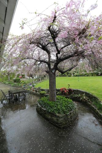 Oasis on Orwell Bed and Breakfast – Photos 3