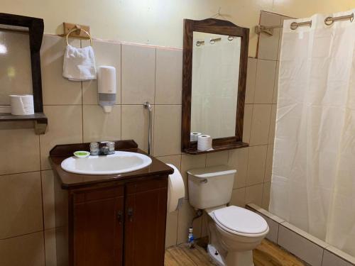 y baño con aseo, lavabo y espejo. en Hotel Palenque Tarrazu en San Marcos