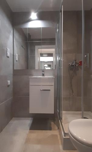 a bathroom with a shower and a sink and a toilet at Lovely Madly Apartment in Krakow