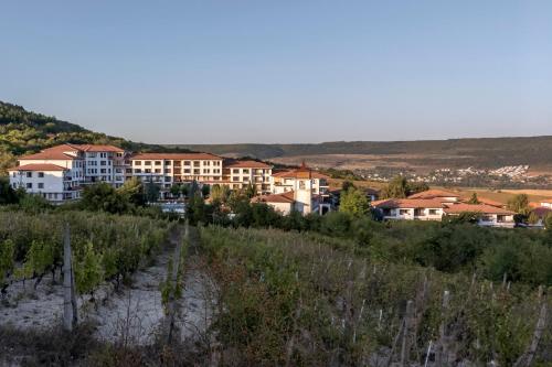 Gallery image of Harmony Hills Kolevi Apartments in Rogachevo