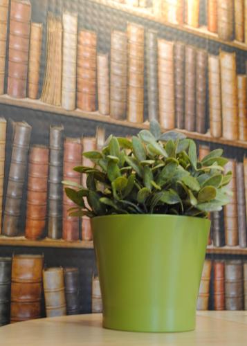 ホテルにある図書室
