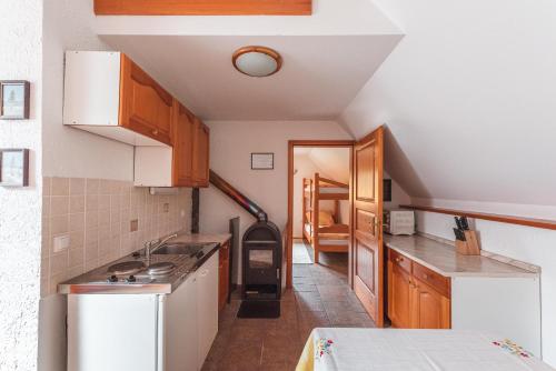 a kitchen with a sink and a stove top oven at POHORJE HOUSE 2 FOUR APPARTMETNS in Oplotnica