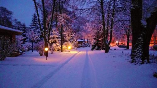 a snow covered street at night with trees and lights at Lake Park Łagów in Łagów