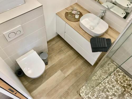 een kleine badkamer met een toilet en een wastafel bij Aux Peupliers de Pradian - Baumier in Bassens