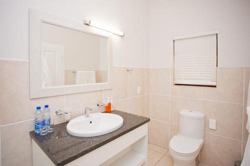 a bathroom with a sink and a toilet at The Queen Of Calitzdorp in Calitzdorp