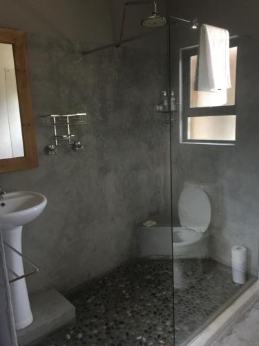 a bathroom with a shower with a toilet and a sink at Dream of Africa Bush Lodge in Marloth Park