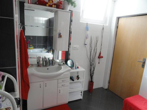 a bathroom with a sink and a mirror at Apartmán Woodcock in Poniklá