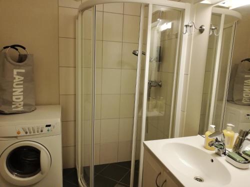 een badkamer met een wasmachine en een wastafel bij The Little Apartment in Sola