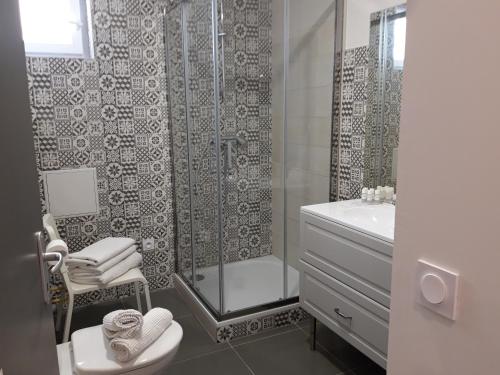 a bathroom with a shower and a toilet and a sink at Maison Saint Matteo in Lourdes