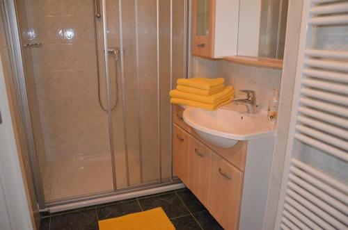 y baño con ducha y lavamanos. en Ferienwohnung Birgit, en Eisenstadt