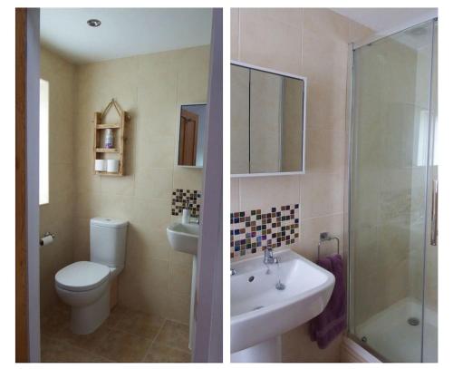 two pictures of a bathroom with a toilet and a sink at The Piggery at Moorfield Barns in Praze an Beeble