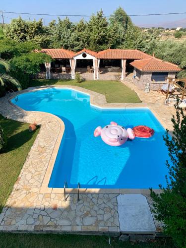 an image of a swimming pool with a pig in it at Villa Marita in Lisvórion