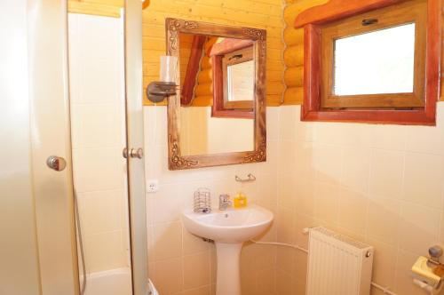 a bathroom with a sink and a mirror at Норіс in Migovo