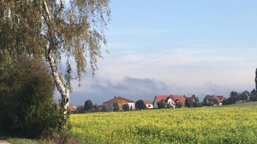 a field with houses and a tree in a field at Ferienwohnung im Herzen der Holledau in Pörnbach