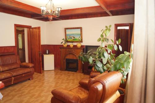 a living room with a couch and a fireplace at Норіс in Migovo