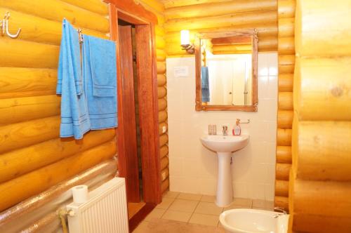 a bathroom in a log cabin with a sink and a mirror at Норіс in Migovo