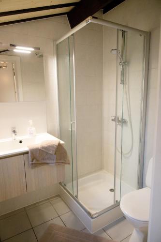 a bathroom with a shower and a sink at Zeepark Zeewind in Bredene