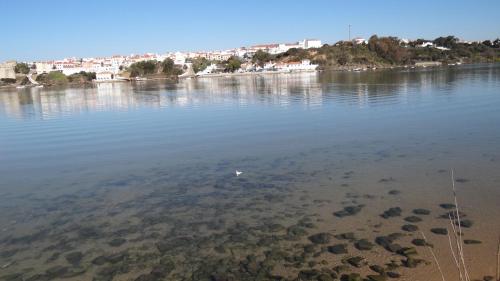 SEA URCHIN MILFONTES by Stay in Alentejo