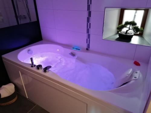 a white bath tub with a sink and a mirror at Rêve Chablisien in Chablis