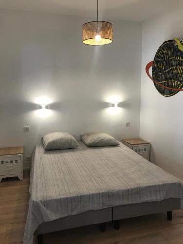 ein Schlafzimmer mit einem großen Bett mit zwei Kissen in der Unterkunft Grand studio rue piétonne Ajaccio in Ajaccio