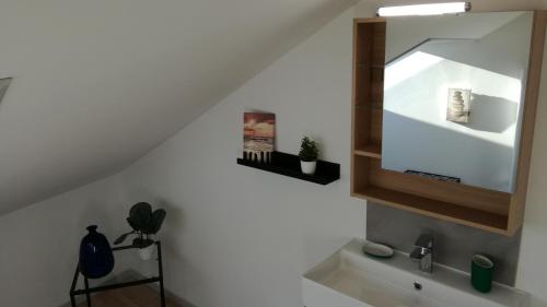een badkamer met een wastafel en een spiegel bij Brume de Loire in Bourgueil