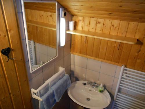 a small bathroom with a sink and a mirror at Apartments Balon in Kranjska Gora