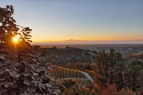 a vineyard at sunset with the sun setting in the background at Splendido rustico nella Langa in Clavesana
