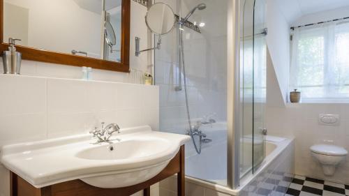 a bathroom with a sink and a shower and a toilet at Schloss - Schenke Tunzenberg in Mengkofen