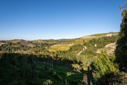 auliculiculiculiculiculiculiculiculiculiculiculiculiculiculic at Splendido rustico nella Langa in Clavesana