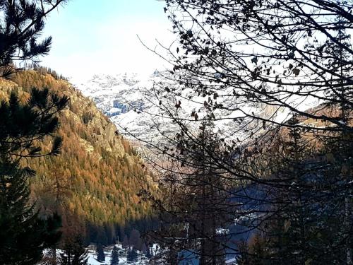 Duplex - Champoluc #Bluchalet – Photos 2