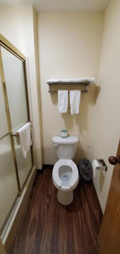 a bathroom with a toilet and a shower with towels at Travel Inn and Suites- Sikeston Miner I-55 exit-67 in Sikeston