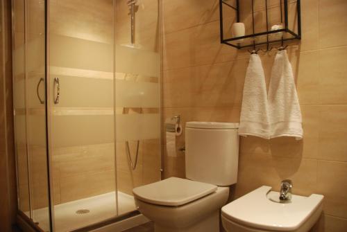 a bathroom with a toilet and a shower and a sink at Apartamento Judería in Toledo