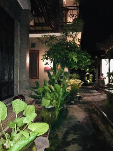 a group of plants in a room with a building at Wina Ubud B&B in Ubud